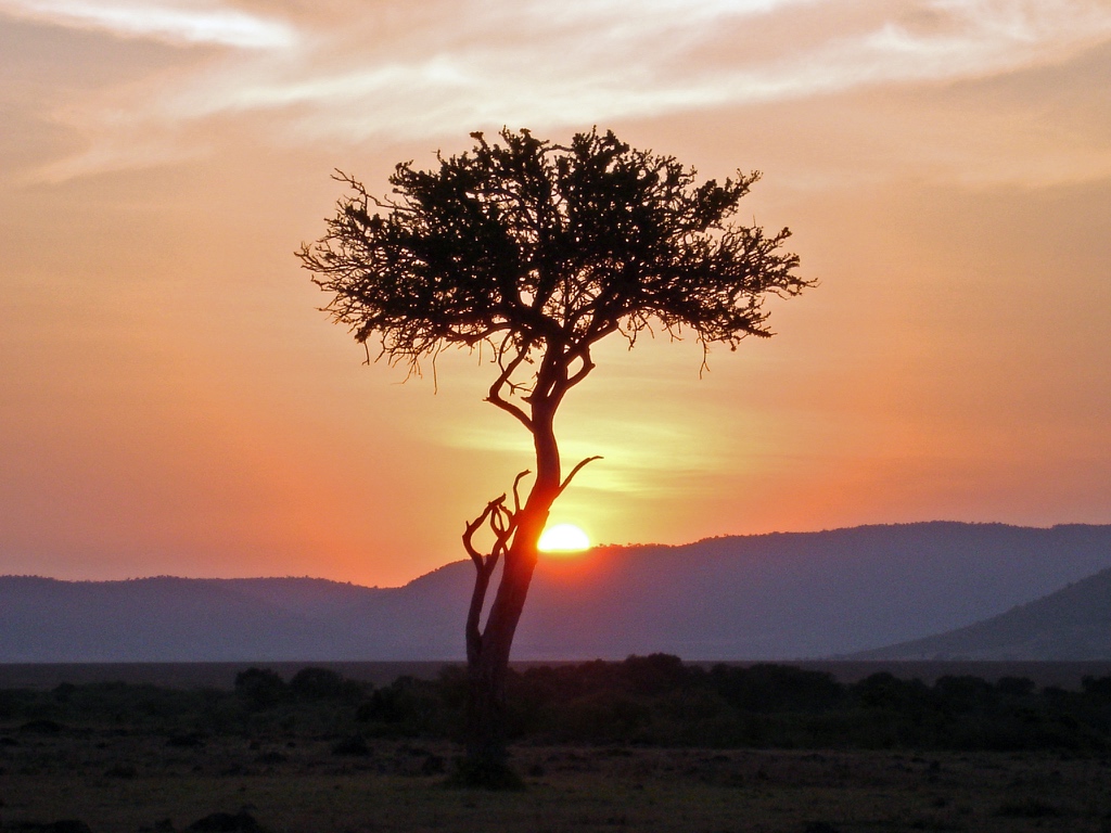 Le Kenya, véritable joyau d'Afrique